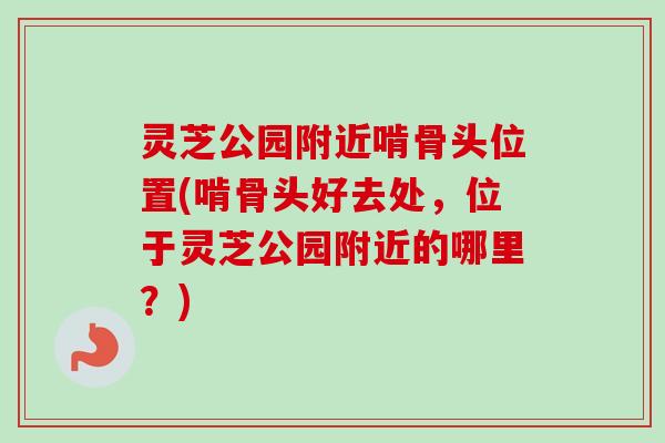 灵芝公园附近啃骨头位置(啃骨头好去处,位于灵芝公园附近的哪里?)-第1张图片-卓越灵芝孢子粉 灵芝公园附近啃骨头位置(啃骨头好去处,位于灵芝公园附近的哪里?)-第1张图片-卓越灵芝孢子粉
