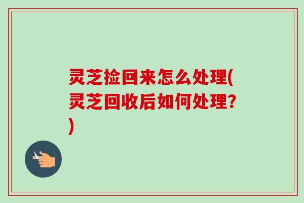 灵芝捡回来怎么处理(灵芝回收后如何处理?)-第1张图片-卓越灵芝孢子粉 灵芝捡回来怎么处理(灵芝回收后如何处理?)-第1张图片-卓越灵芝孢子粉