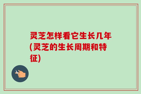 灵芝怎样看它生长几年(灵芝的生长周期和特征)-第1张图片-卓越灵芝孢子粉