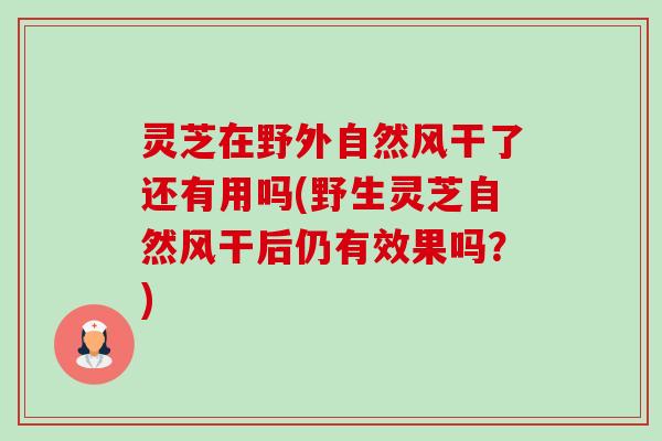 灵芝在野外自然风干了还有用吗(野生灵芝自然风干后仍有效果吗?)-第1张图片-卓越灵芝孢子粉 灵芝在野外自然风干了还有用吗(野生灵芝自然风干后仍有效果吗?)-第1张图片-卓越灵芝孢子粉