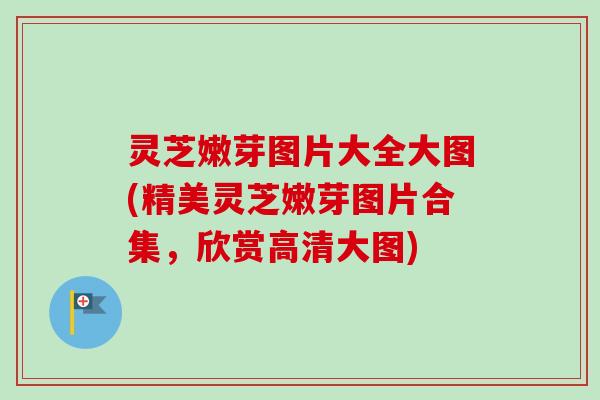灵芝嫩芽图片大全大图(精美灵芝嫩芽图片合集,欣赏高清大图)-第1张图片-卓越灵芝孢子粉 灵芝嫩芽图片大全大图(精美灵芝嫩芽图片合集,欣赏高清大图)-第1张图片-卓越灵芝孢子粉