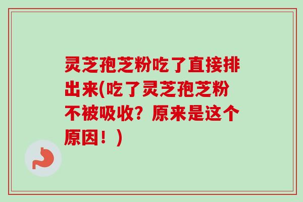 灵芝孢芝粉吃了直接排出来(吃了灵芝孢芝粉不被吸收?原来是这个原因!)-第1张图片-卓越灵芝孢子粉 灵芝孢芝粉吃了直接排出来(吃了灵芝孢芝粉不被吸收?原来是这个原因!)-第1张图片-卓越灵芝孢子粉