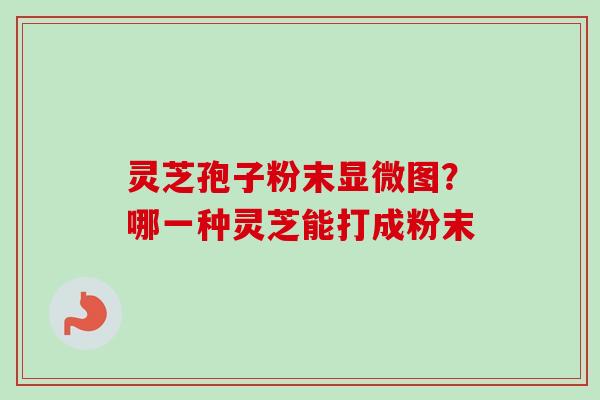 灵芝孢子粉末显微图?哪一种灵芝能打成粉末-第1张图片-卓越灵芝孢子粉 灵芝孢子粉末显微图?哪一种灵芝能打成粉末-第1张图片-卓越灵芝孢子粉