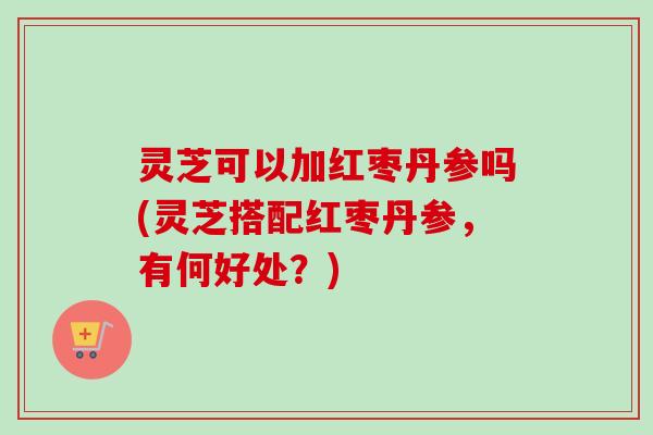 灵芝可以加红枣丹参吗(灵芝搭配红枣丹参,有何好处?)-第1张图片-卓越灵芝孢子粉 灵芝可以加红枣丹参吗(灵芝搭配红枣丹参,有何好处?)-第1张图片-卓越灵芝孢子粉