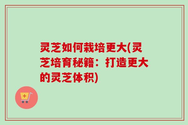 灵芝如何栽培更大(灵芝培育秘籍：打造更大的灵芝体积)-第1张图片-卓越灵芝孢子粉