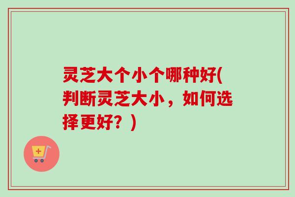 灵芝大个小个哪种好(判断灵芝大小，如何选择更好？)-第1张图片-卓越灵芝孢子粉