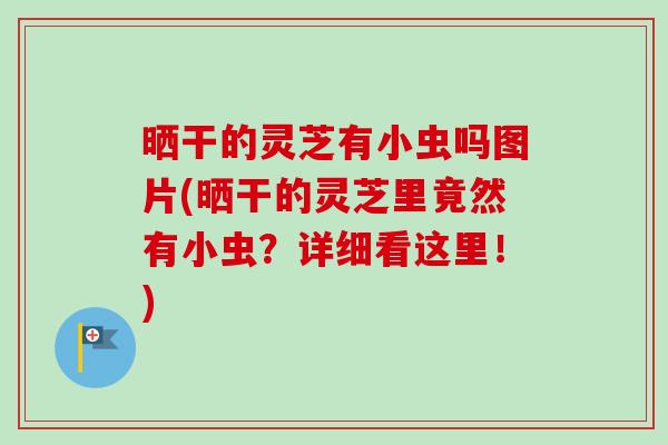晒干的灵芝有小虫吗图片(晒干的灵芝里竟然有小虫?详细看这里!)-第1张图片-卓越灵芝孢子粉 晒干的灵芝有小虫吗图片(晒干的灵芝里竟然有小虫?详细看这里!)-第1张图片-卓越灵芝孢子粉