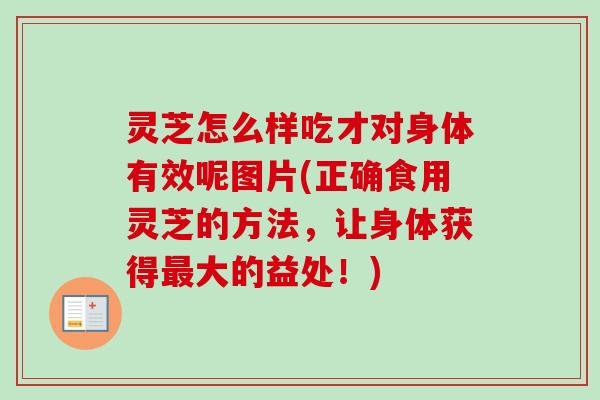 灵芝怎么样吃才对身体有效呢图片(正确食用灵芝的方法,让身体获得最大的益处!)-第1张图片-卓越灵芝孢子粉 灵芝怎么样吃才对身体有效呢图片(正确食用灵芝的方法,让身体获得最大的益处!)-第1张图片-卓越灵芝孢子粉