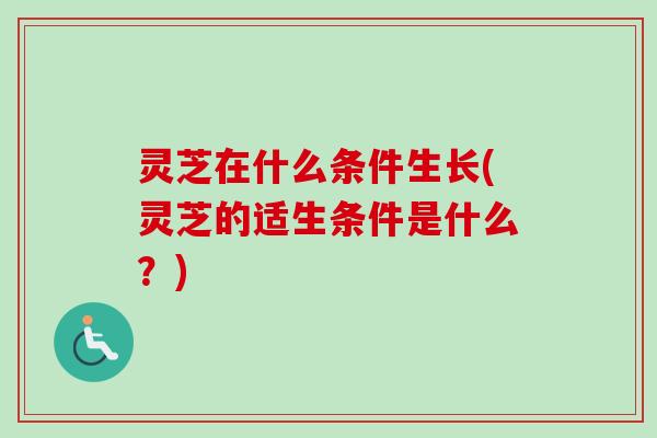 灵芝在什么条件生长(灵芝的适生条件是什么?)-第1张图片-卓越灵芝孢子粉 灵芝在什么条件生长(灵芝的适生条件是什么?)-第1张图片-卓越灵芝孢子粉