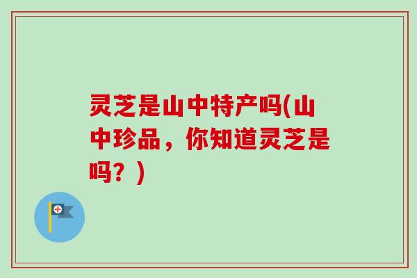灵芝是山中特产吗(山中珍品,你知道灵芝是吗?)-第1张图片-卓越灵芝孢子粉 灵芝是山中特产吗(山中珍品,你知道灵芝是吗?)-第1张图片-卓越灵芝孢子粉