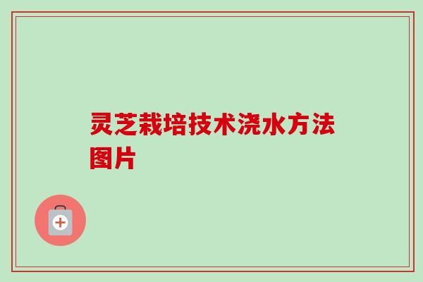 灵芝栽培技术浇水方法图片-第1张图片-卓越灵芝孢子粉