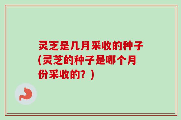 灵芝是几月采收的种子(灵芝的种子是哪个月份采收的?)-第1张图片-卓越灵芝孢子粉 灵芝是几月采收的种子(灵芝的种子是哪个月份采收的?)-第1张图片-卓越灵芝孢子粉