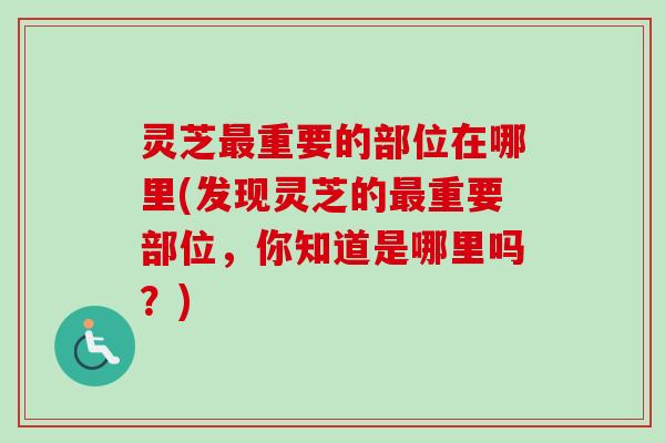 灵芝最重要的部位在哪里(发现灵芝的最重要部位,你知道是哪里吗?)-第1张图片-卓越灵芝孢子粉 灵芝最重要的部位在哪里(发现灵芝的最重要部位,你知道是哪里吗?)-第1张图片-卓越灵芝孢子粉