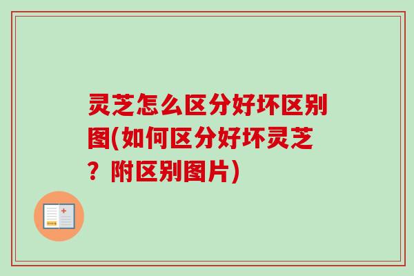 灵芝怎么区分好坏区别图(如何区分好坏灵芝？附区别图片)-第1张图片-卓越灵芝孢子粉