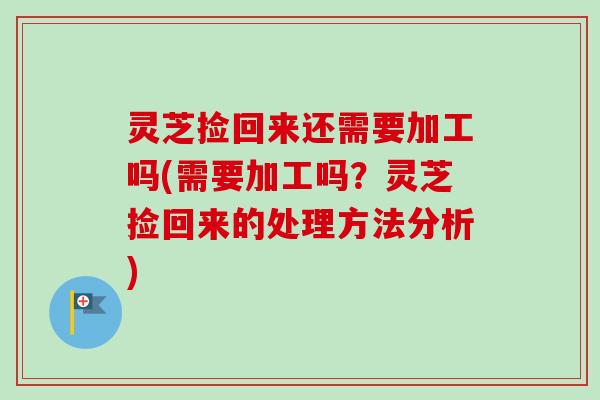 灵芝捡回来还需要加工吗(需要加工吗?灵芝捡回来的处理方法分析)-第1张图片-卓越灵芝孢子粉 灵芝捡回来还需要加工吗(需要加工吗?灵芝捡回来的处理方法分析)-第1张图片-卓越灵芝孢子粉