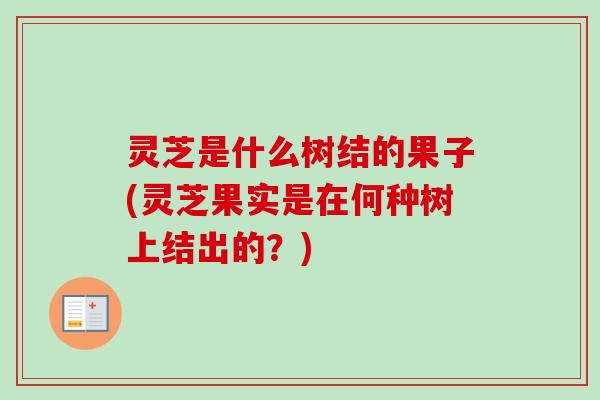 灵芝是什么树结的果子(灵芝果实是在何种树上结出的?)-第1张图片-卓越灵芝孢子粉 灵芝是什么树结的果子(灵芝果实是在何种树上结出的?)-第1张图片-卓越灵芝孢子粉