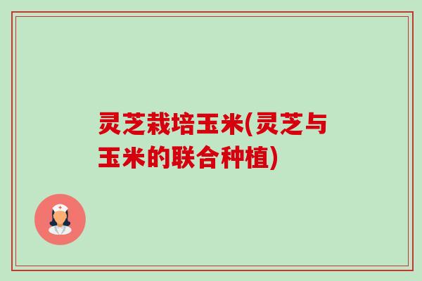 灵芝栽培玉米(灵芝与玉米的联合种植)-第1张图片-卓越灵芝孢子粉