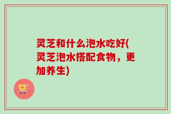 灵芝和什么泡水吃好(灵芝泡水搭配食物,更加养生)-第1张图片-卓越灵芝孢子粉 灵芝和什么泡水吃好(灵芝泡水搭配食物,更加养生)-第1张图片-卓越灵芝孢子粉
