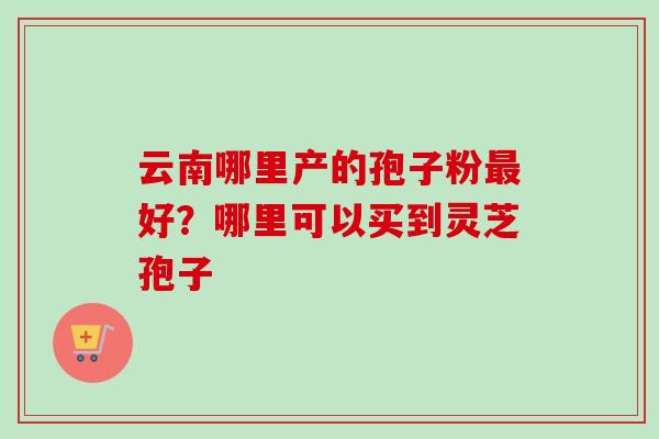 云南哪里产的孢子粉最好?哪里可以买到灵芝孢子-第1张图片-卓越灵芝孢子粉 云南哪里产的孢子粉最好?哪里可以买到灵芝孢子-第1张图片-卓越灵芝孢子粉
