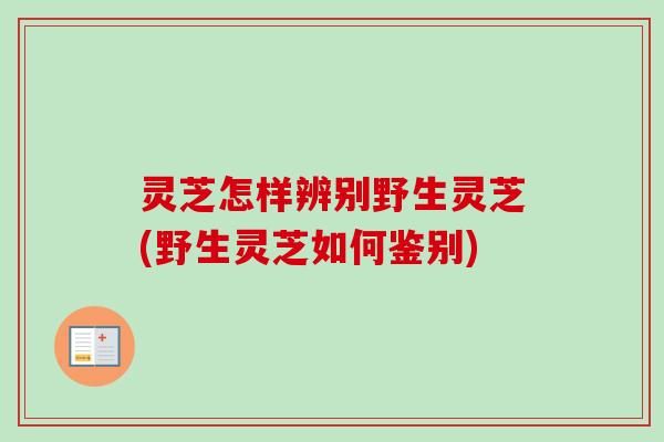 灵芝怎样辨别野生灵芝(野生灵芝如何鉴别)-第1张图片-卓越灵芝孢子粉 灵芝怎样辨别野生灵芝(野生灵芝如何鉴别)-第1张图片-卓越灵芝孢子粉