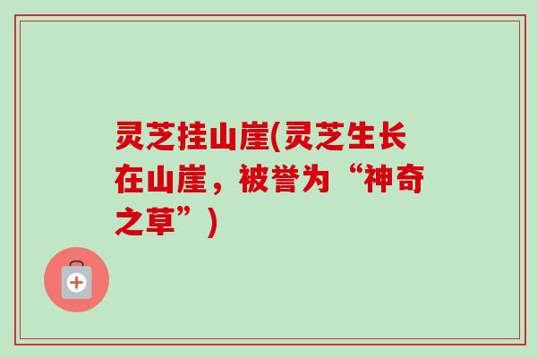 灵芝挂山崖(灵芝生长在山崖,被誉为“神奇之草”)-第1张图片-卓越灵芝孢子粉 灵芝挂山崖(灵芝生长在山崖,被誉为“神奇之草”)-第1张图片-卓越灵芝孢子粉