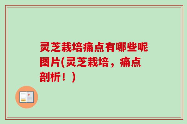 灵芝栽培痛点有哪些呢图片(灵芝栽培,痛点剖析!)-第1张图片-卓越灵芝孢子粉 灵芝栽培痛点有哪些呢图片(灵芝栽培,痛点剖析!)-第1张图片-卓越灵芝孢子粉