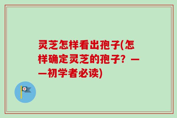 灵芝怎样看出孢子(怎样确定灵芝的孢子?——初学者必读)-第1张图片-卓越灵芝孢子粉 灵芝怎样看出孢子(怎样确定灵芝的孢子?——初学者必读)-第1张图片-卓越灵芝孢子粉