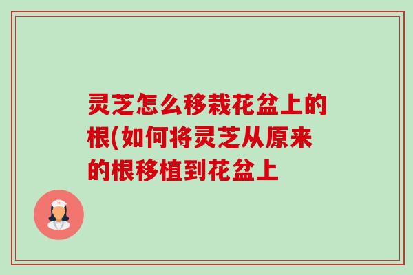 灵芝怎么移栽花盆上的根(如何将灵芝从原来的根移植到花盆上-第1张图片-卓越灵芝孢子粉 灵芝怎么移栽花盆上的根(如何将灵芝从原来的根移植到花盆上-第1张图片-卓越灵芝孢子粉