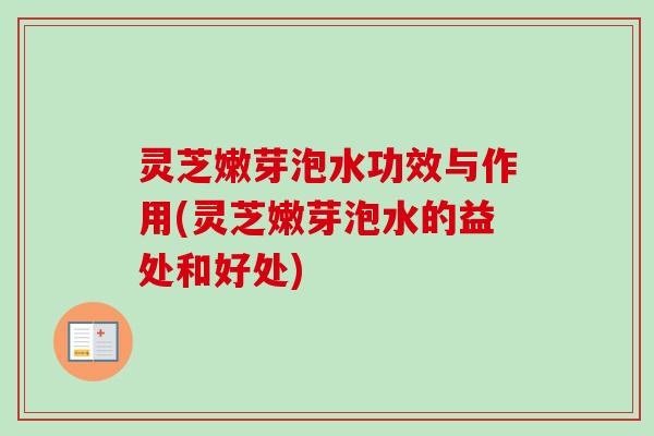 灵芝嫩芽泡水功效与作用(灵芝嫩芽泡水的益处和好处)-第1张图片-卓越灵芝孢子粉 灵芝嫩芽泡水功效与作用(灵芝嫩芽泡水的益处和好处)-第1张图片-卓越灵芝孢子粉