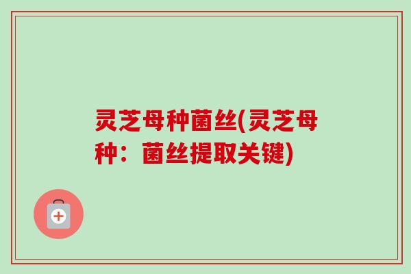 灵芝母种菌丝(灵芝母种:菌丝提取关键)-第1张图片-卓越灵芝孢子粉 灵芝母种菌丝(灵芝母种:菌丝提取关键)-第1张图片-卓越灵芝孢子粉