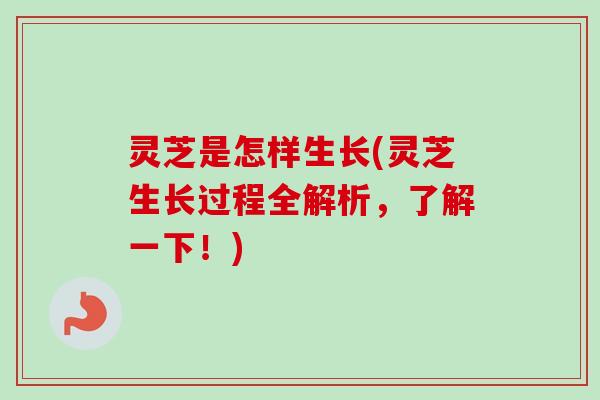 灵芝是怎样生长(灵芝生长过程全解析,了解一下!)-第1张图片-卓越灵芝孢子粉 灵芝是怎样生长(灵芝生长过程全解析,了解一下!)-第1张图片-卓越灵芝孢子粉