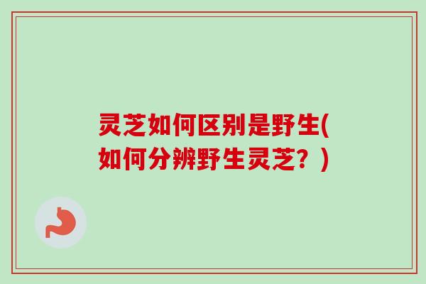 灵芝如何区别是野生(如何分辨野生灵芝?)-第1张图片-卓越灵芝孢子粉 灵芝如何区别是野生(如何分辨野生灵芝?)-第1张图片-卓越灵芝孢子粉
