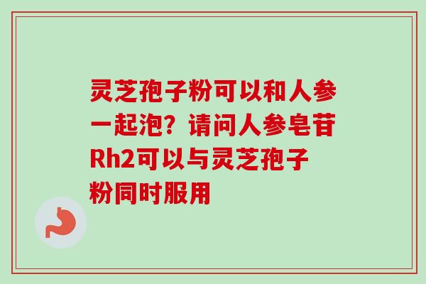 灵芝孢子粉可以和人参一起泡?请问人参皂苷Rh2可以与灵芝孢子粉同时服用-第1张图片-卓越灵芝孢子粉 灵芝孢子粉可以和人参一起泡?请问人参皂苷Rh2可以与灵芝孢子粉同时服用-第1张图片-卓越灵芝孢子粉