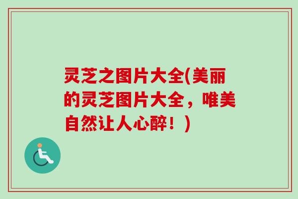 灵芝之图片大全(美丽的灵芝图片大全,唯美自然让人心醉!)-第1张图片-卓越灵芝孢子粉 灵芝之图片大全(美丽的灵芝图片大全,唯美自然让人心醉!)-第1张图片-卓越灵芝孢子粉