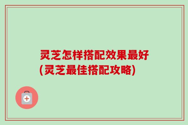 灵芝怎样搭配效果最好(灵芝最佳搭配攻略)-第1张图片-卓越灵芝孢子粉 灵芝怎样搭配效果最好(灵芝最佳搭配攻略)-第1张图片-卓越灵芝孢子粉