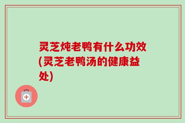 灵芝炖老鸭有什么功效(灵芝老鸭汤的健康益处)-第1张图片-卓越灵芝孢子粉 灵芝炖老鸭有什么功效(灵芝老鸭汤的健康益处)-第1张图片-卓越灵芝孢子粉