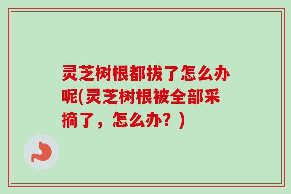 灵芝树根都拔了怎么办呢(灵芝树根被全部采摘了，怎么办？)-第1张图片-卓岳灵芝孢子粉
