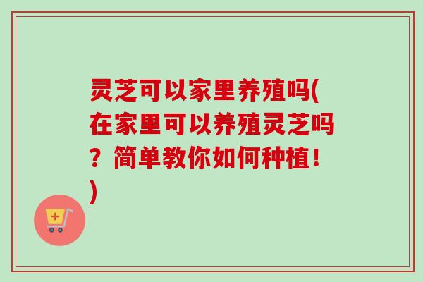 灵芝可以家里养殖吗(在家里可以养殖灵芝吗?简单教你如何种植!)-第1张图片-卓越灵芝孢子粉 灵芝可以家里养殖吗(在家里可以养殖灵芝吗?简单教你如何种植!)-第1张图片-卓越灵芝孢子粉