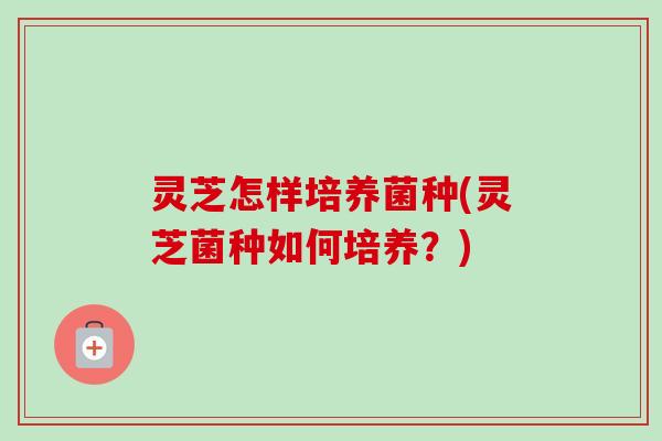 灵芝怎样培养菌种(灵芝菌种如何培养？)-第1张图片-卓岳灵芝孢子粉