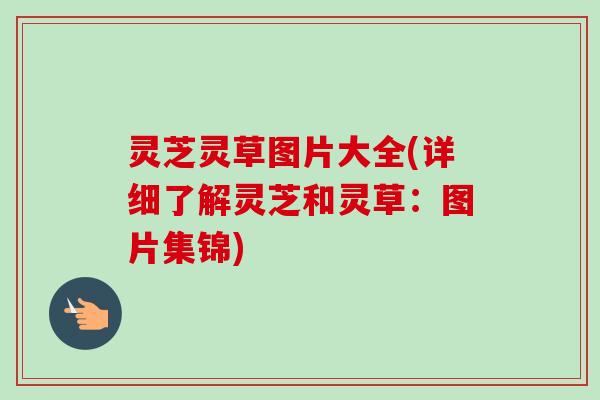 灵芝灵草图片大全(详细了解灵芝和灵草:图片集锦)-第1张图片-卓越灵芝孢子粉 灵芝灵草图片大全(详细了解灵芝和灵草:图片集锦)-第1张图片-卓越灵芝孢子粉