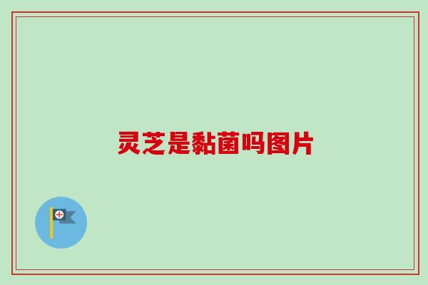灵芝是黏菌吗图片-第1张图片-卓越灵芝孢子粉 灵芝是黏菌吗图片-第1张图片-卓越灵芝孢子粉