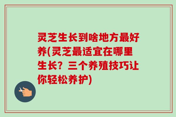 灵芝生长到啥地方最好养(灵芝最适宜在哪里生长？三个养殖技巧让你轻松养护)-第1张图片-卓越灵芝孢子粉