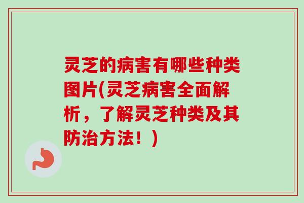 灵芝的病害有哪些种类图片(灵芝病害全面解析，了解灵芝种类及其防治方法！)-第1张图片-卓越灵芝孢子粉