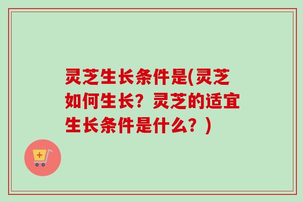 灵芝生长条件是(灵芝如何生长？灵芝的适宜生长条件是什么？)-第1张图片-卓越灵芝孢子粉