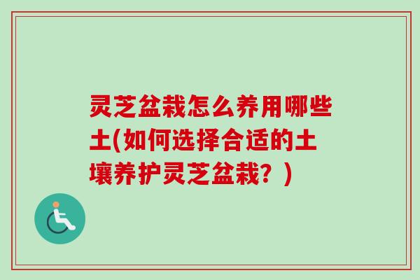 灵芝盆栽怎么养用哪些土(如何选择合适的土壤养护灵芝盆栽？)-第1张图片-卓越灵芝孢子粉