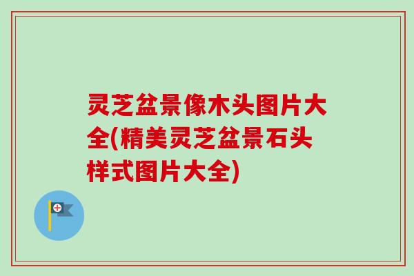 灵芝盆景像木头图片大全(精美灵芝盆景石头样式图片大全)-第1张图片-卓越灵芝孢子粉