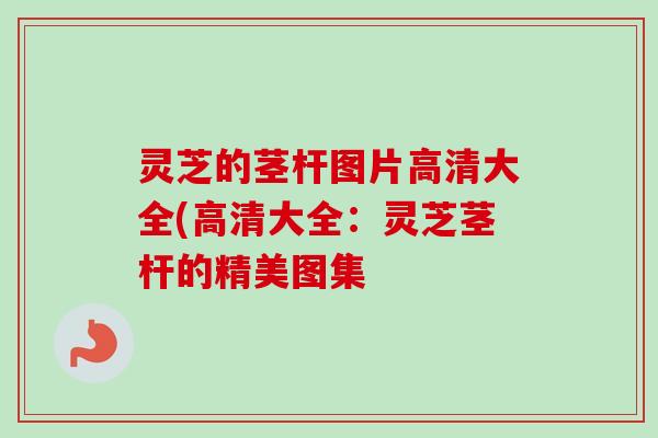 灵芝的茎杆图片高清大全(高清大全：灵芝茎杆的精美图集-第1张图片-卓岳灵芝孢子粉