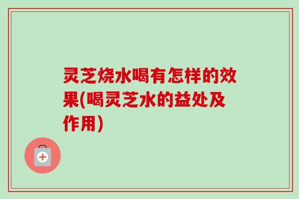 灵芝烧水喝有怎样的效果(喝灵芝水的益处及作用)-第1张图片-卓岳灵芝孢子粉