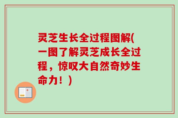 灵芝生长全过程图解(一图了解灵芝成长全过程，惊叹大自然奇妙生命力！)-第1张图片-卓岳灵芝孢子粉