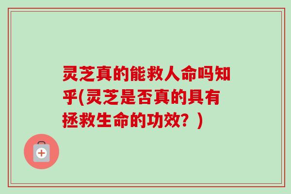 灵芝真的能救人命吗知乎(灵芝是否真的具有拯救生命的功效？)-第1张图片-卓越灵芝孢子粉